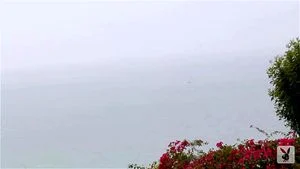 Watch from 0:00:39