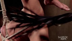 Hogtied thumbnail