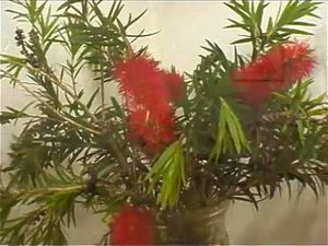 1:16:02から視聴