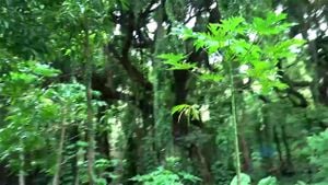 Property Sex thumbnail
