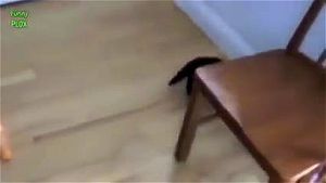 Watch from 0:01:29