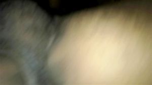 Perrito