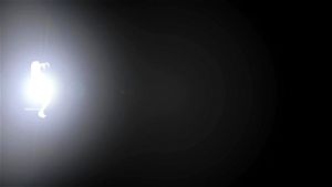 Ab 0:01:03 ansehen