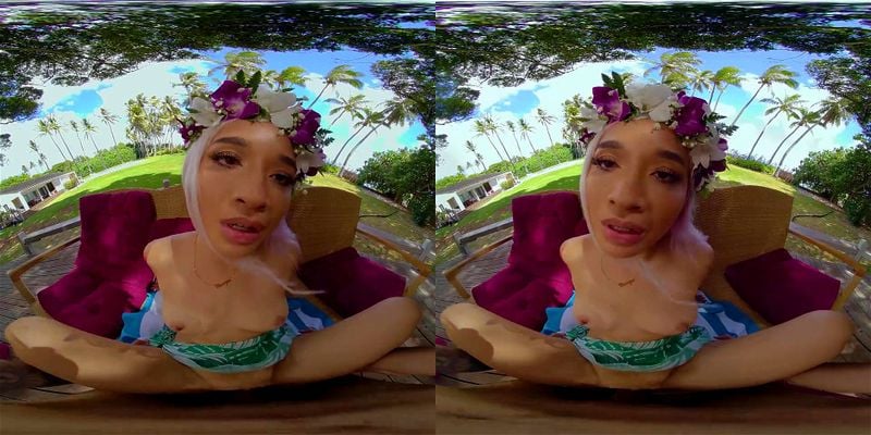 VR Asian Tiny VR Asian Tiny