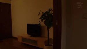 Watch from 0:31:53