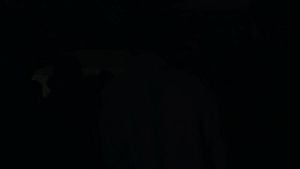 Watch from 0:00:19