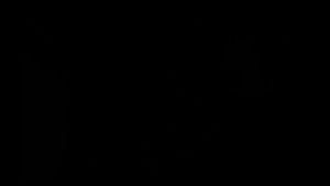 Watch from 0:00:16