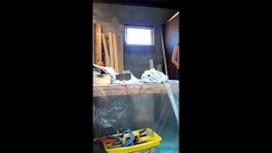 Watch from 0:00:34