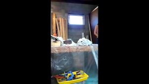 Watch from 0:00:34