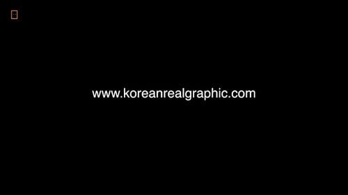 korean thumbnail