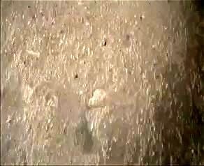 Assista a partir de 0:02:29