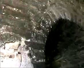 Assista a partir de 0:00:44