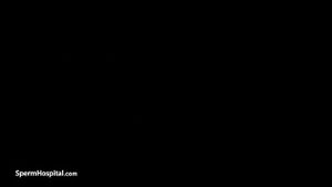 Watch from 0:15:09