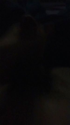 Watch from 0:00:11