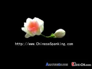 Ab 0:11:19 ansehen