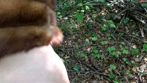 Fur fetish  thumbnail