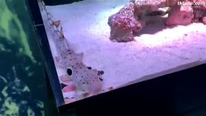 Watch from 0:05:05