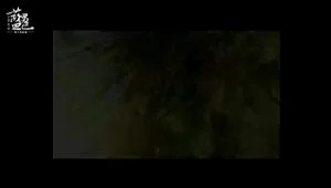 Ab 0:00:30 ansehen