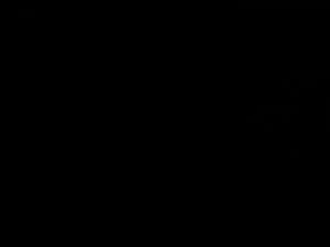 Watch from 0:19:02