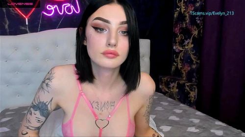Shemale cam: Stripchat, Tranny & Transexual Porn