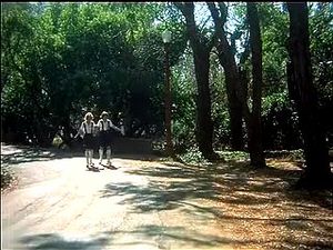 Watch from 0:55:38