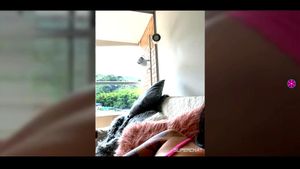 Watch from 0:02:39