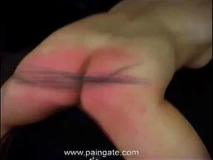 Ver a partir de 0:00:25