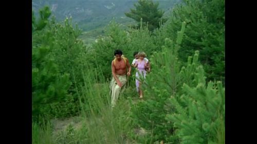 Incident in the Alps 