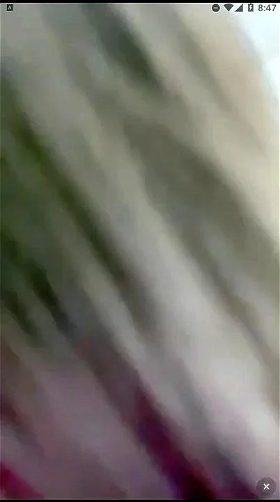 asaCXAS asaCXAS