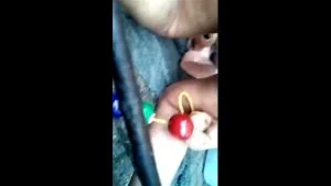 Watch from 0:03:27
