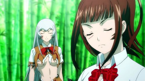 Ikkitousen - Extravaganza Epoch [fanservice compilation] 