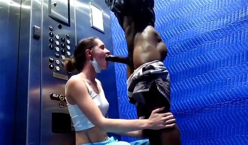 Girl sucks BBC in elevator Girl sucks BBC in elevator