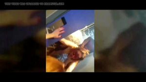 Watch from 0:01:11
