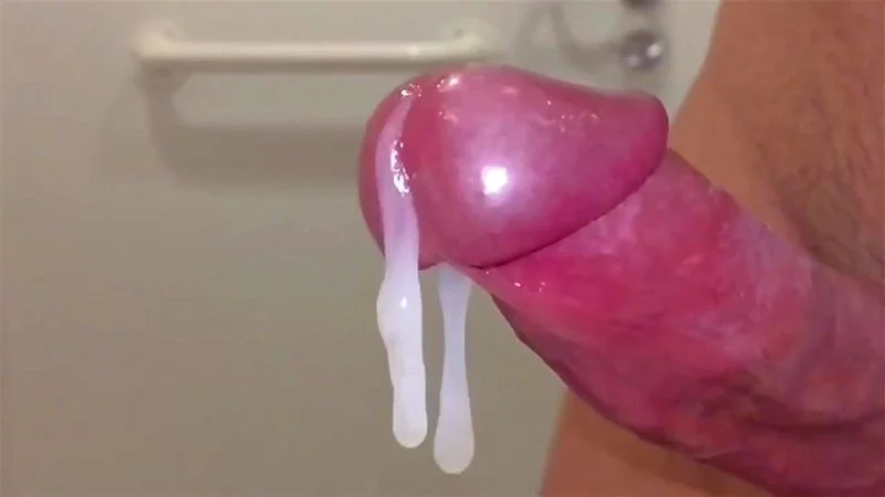 Cock Worship Cock Worship