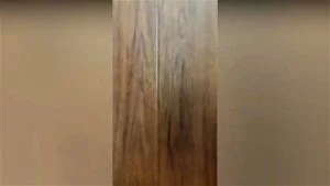 Watch from 0:00:19