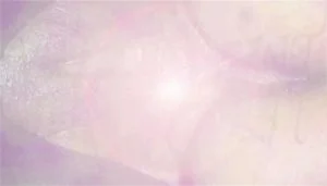 Watch from 0:00:10