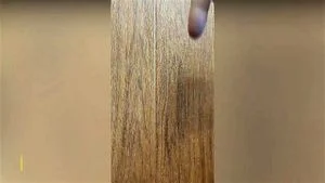 Watch from 0:00:13