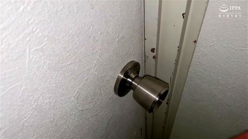 Creeping On Medium Cakes