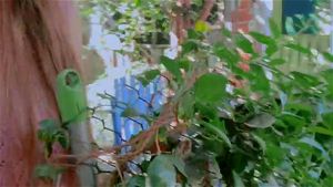 Ver a partir de 0:00:44