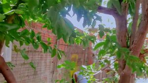 Ver a partir de 0:02:14