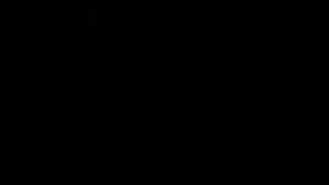 Ab 0:05:09 ansehen