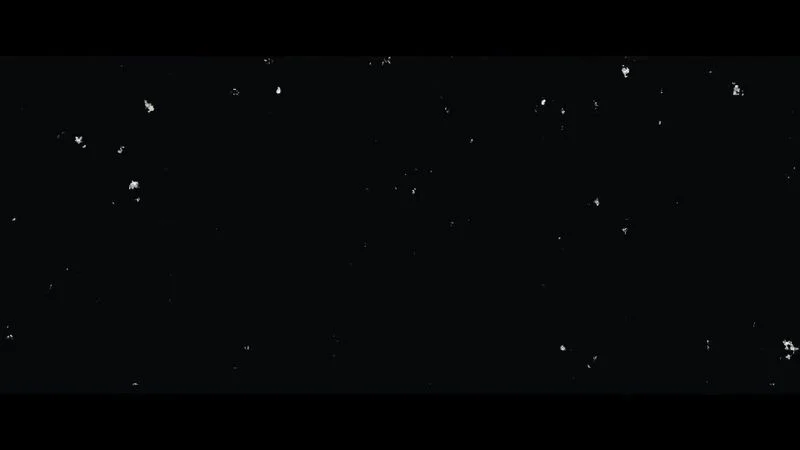 Pmv White pussy vs black cock Pmv White pussy vs black cock