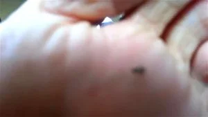 Watch from 0:03:35