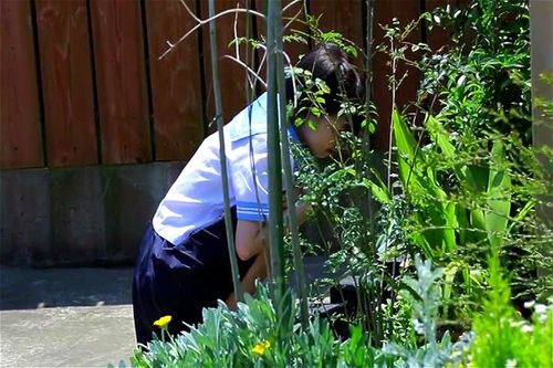 つるりんこ 笹山りん Vídeo pornô - SpankBang