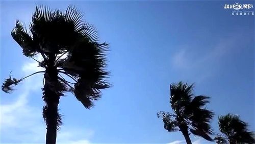 Rena Fukiishi ~ Lesbian Lactation