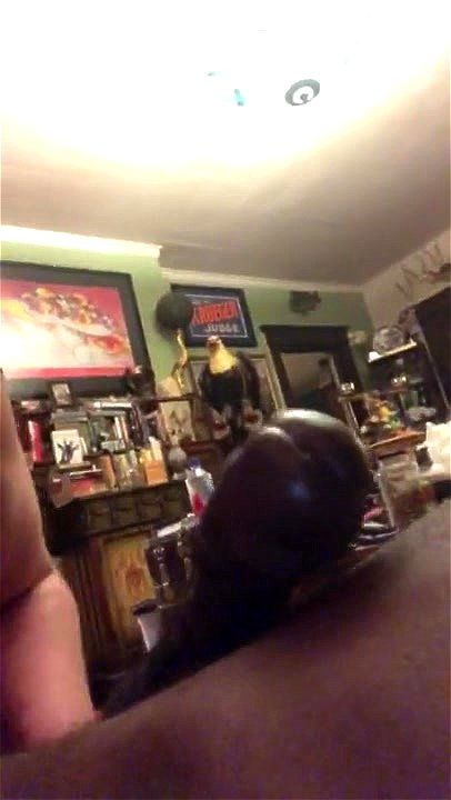 nnnnnnnnnnnn - Nnnnnnnnnnnnn, Nnnnnnnnnnnnnnnnnnnn, Bbw Porn