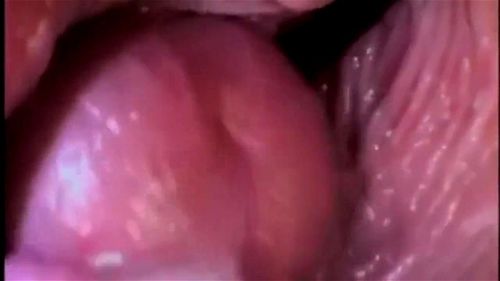 Breeding Slut Training Program Hypno Film Porno - SpankBang
