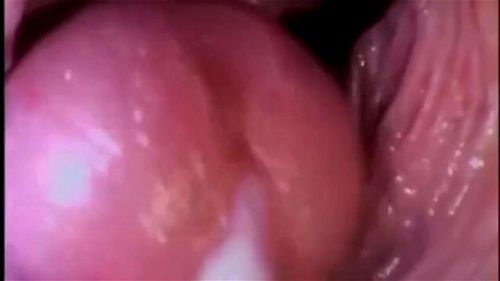 Breeding Slut Training Program Hypno Film Porno - SpankBang