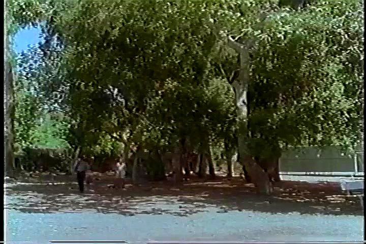Other men's wives 1996 Other men's wives 1996