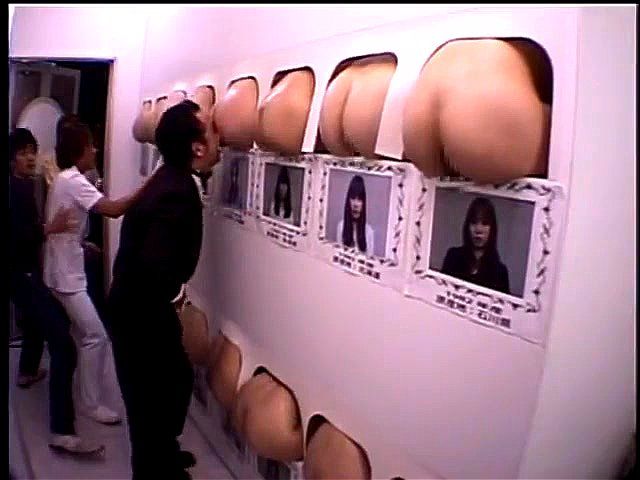 SDMS-954 SDMS-954